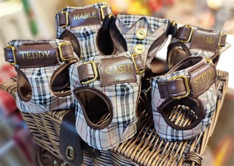 burberry pet harness|Burberry dog collars for sale.